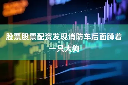 股票股票配资发现消防车后面蹲着一只大狗
