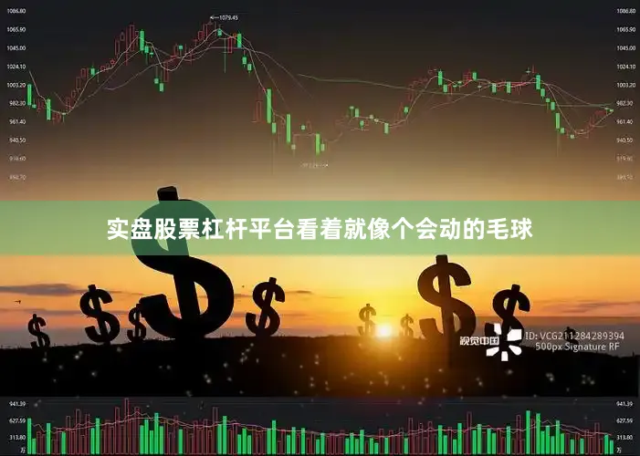实盘股票杠杆平台看着就像个会动的毛球