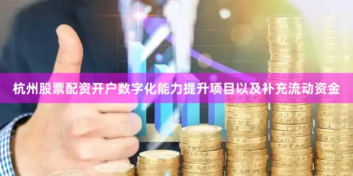 杭州股票配资开户数字化能力提升项目以及补充流动资金