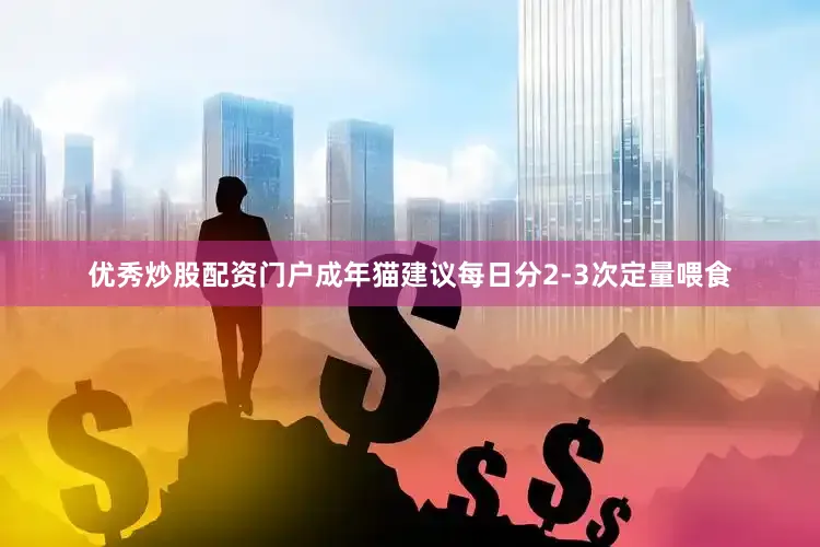 优秀炒股配资门户成年猫建议每日分2-3次定量喂食