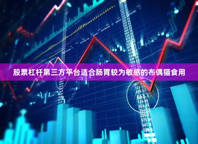 股票杠杆第三方平台适合肠胃较为敏感的布偶猫食用