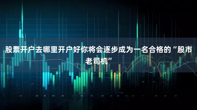 股票开户去哪里开户好你将会逐步成为一名合格的“股市老司机”