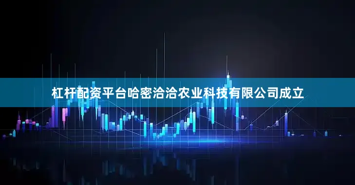 杠杆配资平台哈密洽洽农业科技有限公司成立