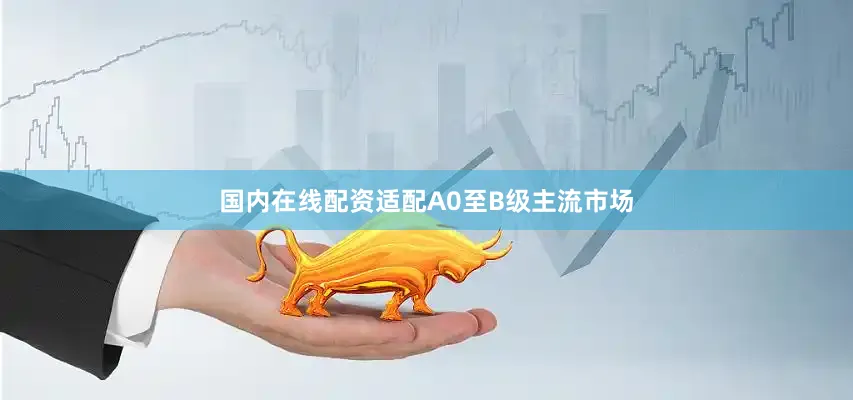 国内在线配资适配A0至B级主流市场